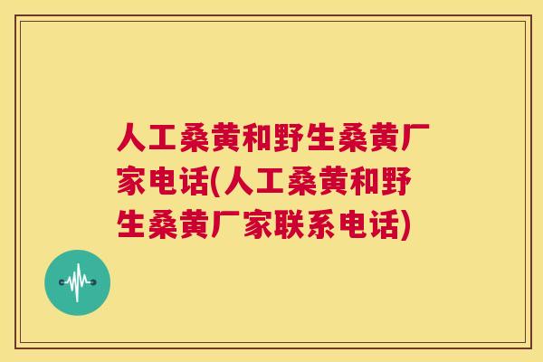 人工桑黄和野生桑黄厂家电话(人工桑黄和野生桑黄厂家联系电话) 人工桑黄和野生桑黄厂家电话(人工桑黄和野生桑黄厂家联系电话)