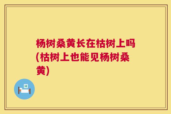 杨树桑黄长在枯树上吗(枯树上也能见杨树桑黄) 杨树桑黄长在枯树上吗(枯树上也能见杨树桑黄)
