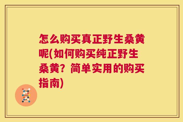 怎么购买真正野生桑黄呢(如何购买纯正野生桑黄?简单实用的购买指南) 怎么购买真正野生桑黄呢(如何购买纯正野生桑黄?简单实用的购买指南)