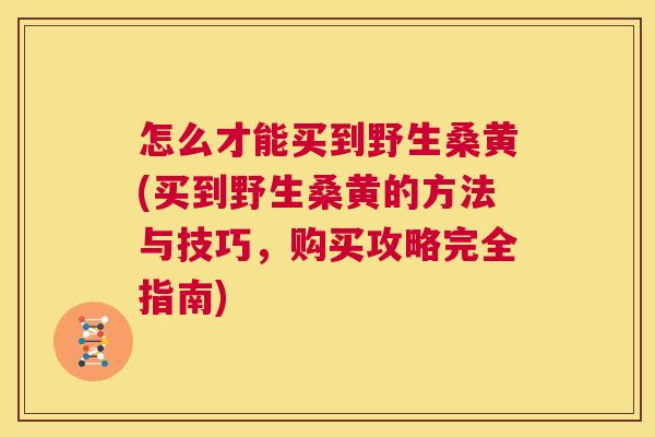 怎么才能买到野生桑黄(买到野生桑黄的方法与技巧,购买攻略完全指南) 怎么才能买到野生桑黄(买到野生桑黄的方法与技巧,购买攻略完全指南)