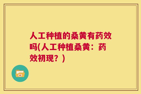 人工种植的桑黄有吗(人工种植桑黄:初现?) 人工种植的桑黄有吗(人工种植桑黄:初现?)