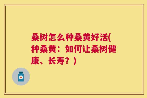 桑树怎么种桑黄好活(种桑黄:如何让桑树健康、长寿?) 桑树怎么种桑黄好活(种桑黄:如何让桑树健康、长寿?)
