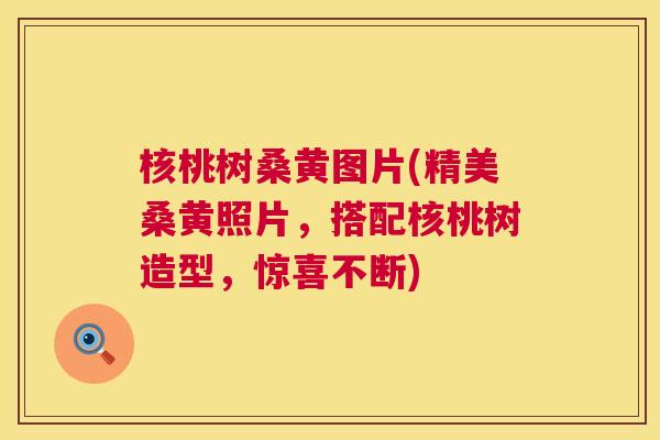核桃树桑黄图片(精美桑黄照片,搭配核桃树造型,惊喜不断) 核桃树桑黄图片(精美桑黄照片,搭配核桃树造型,惊喜不断)