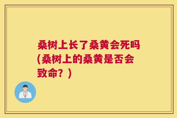 桑树上长了桑黄会死吗(桑树上的桑黄是否会致命?) 桑树上长了桑黄会死吗(桑树上的桑黄是否会致命?)