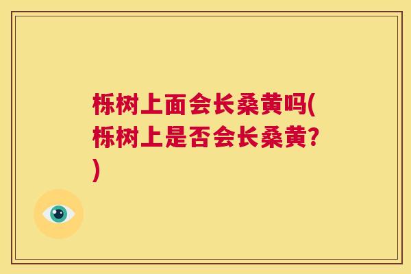 栎树上面会长桑黄吗(栎树上是否会长桑黄?) 栎树上面会长桑黄吗(栎树上是否会长桑黄?)