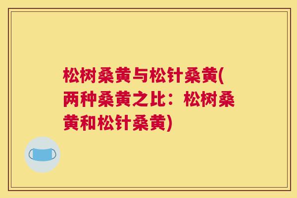 松树桑黄与松针桑黄(两种桑黄之比:松树桑黄和松针桑黄) 松树桑黄与松针桑黄(两种桑黄之比:松树桑黄和松针桑黄)