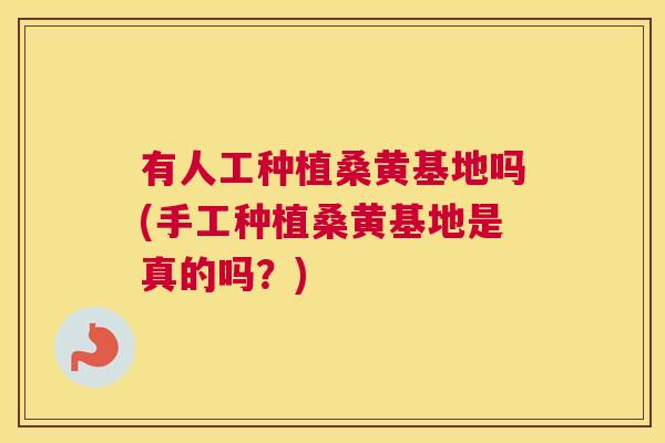 有人工种植桑黄基地吗(手工种植桑黄基地是真的吗?) 有人工种植桑黄基地吗(手工种植桑黄基地是真的吗?)