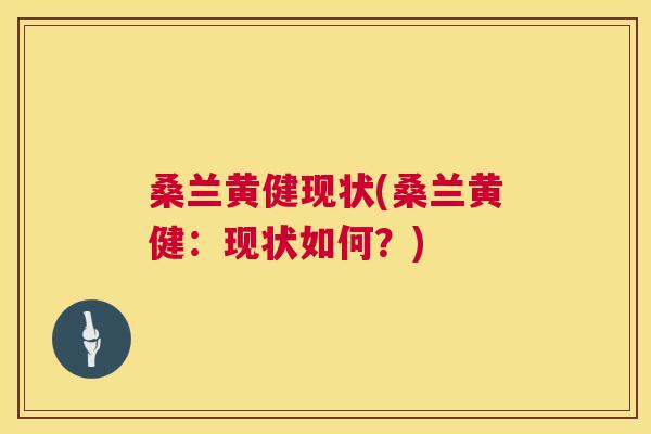 桑兰黄健现状(桑兰黄健:现状如何?) 桑兰黄健现状(桑兰黄健:现状如何?)
