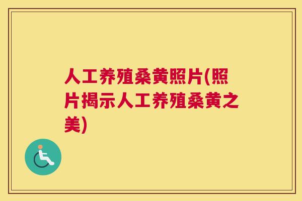 人工养殖桑黄照片(照片揭示人工养殖桑黄之美) 人工养殖桑黄照片(照片揭示人工养殖桑黄之美)