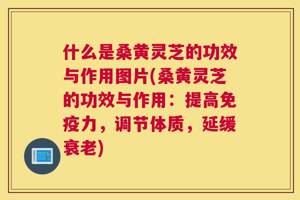 什么是桑黄灵芝的功效与作用图片(桑黄灵芝的功效与作用:提高力,调节体质,延缓) 什么是桑黄灵芝的功效与作用图片(桑黄灵芝的功效与作用:提高力,调节体质,延缓)