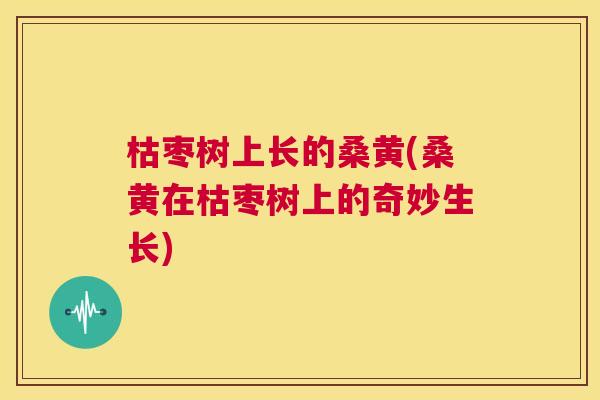 枯枣树上长的桑黄(桑黄在枯枣树上的奇妙生长) 枯枣树上长的桑黄(桑黄在枯枣树上的奇妙生长)