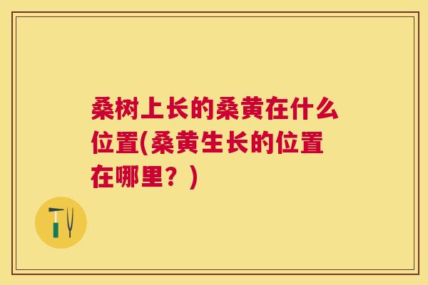 桑树上长的桑黄在什么位置(桑黄生长的位置在哪里?) 桑树上长的桑黄在什么位置(桑黄生长的位置在哪里?)