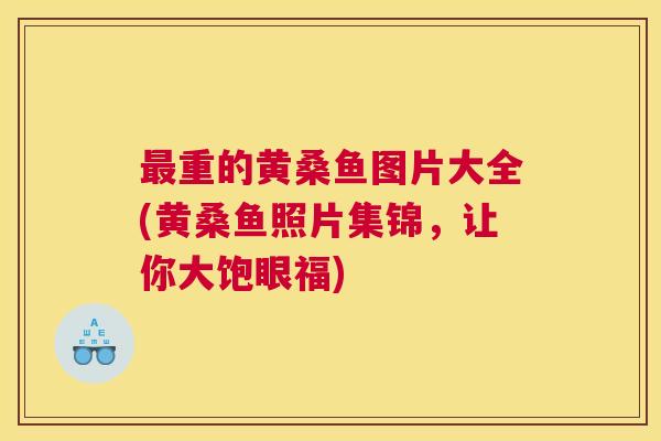 重的黄桑鱼图片大全(黄桑鱼照片集锦,让你大饱眼福) 重的黄桑鱼图片大全(黄桑鱼照片集锦,让你大饱眼福)