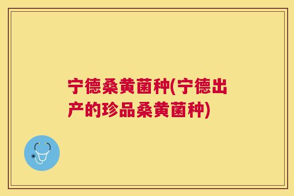 宁德桑黄菌种(宁德出产的珍品桑黄菌种) 宁德桑黄菌种(宁德出产的珍品桑黄菌种)