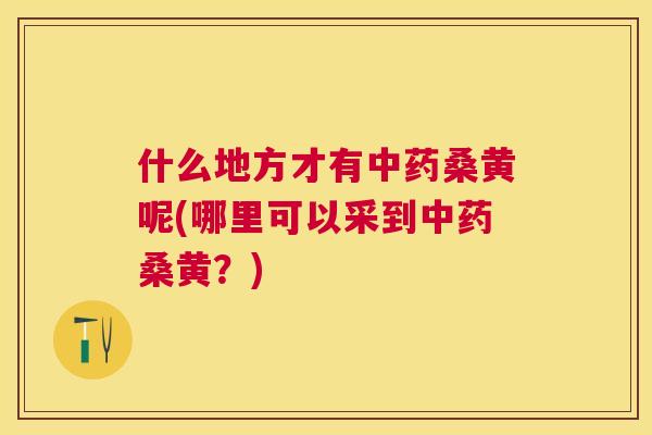 什么地方才有桑黄呢(哪里可以采到桑黄?) 什么地方才有桑黄呢(哪里可以采到桑黄?)