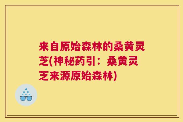 来自原始森林的桑黄灵芝(神秘药引:桑黄灵芝来源原始森林) 来自原始森林的桑黄灵芝(神秘药引:桑黄灵芝来源原始森林)