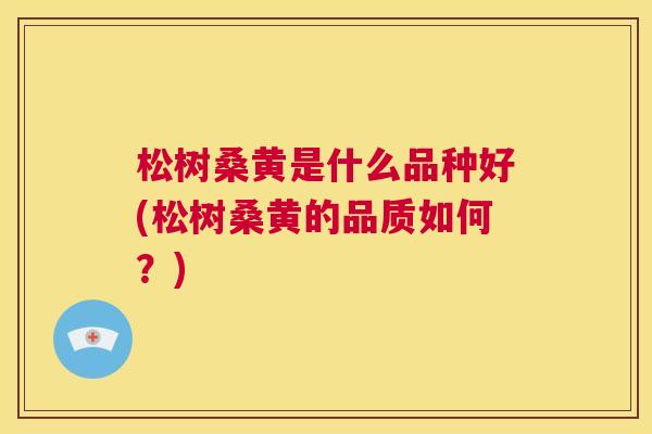 松树桑黄是什么品种好(松树桑黄的品质如何?) 松树桑黄是什么品种好(松树桑黄的品质如何?)