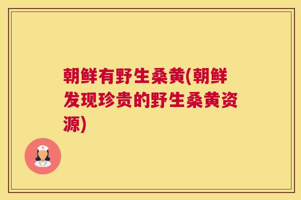 朝鲜有野生桑黄(朝鲜发现珍贵的野生桑黄资源) 朝鲜有野生桑黄(朝鲜发现珍贵的野生桑黄资源)