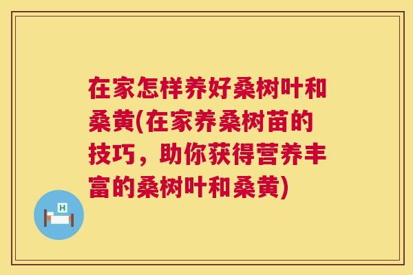 在家怎样养好桑树叶和桑黄(在家养桑树苗的技巧,助你获得营养丰富的桑树叶和桑黄) 在家怎样养好桑树叶和桑黄(在家养桑树苗的技巧,助你获得营养丰富的桑树叶和桑黄)