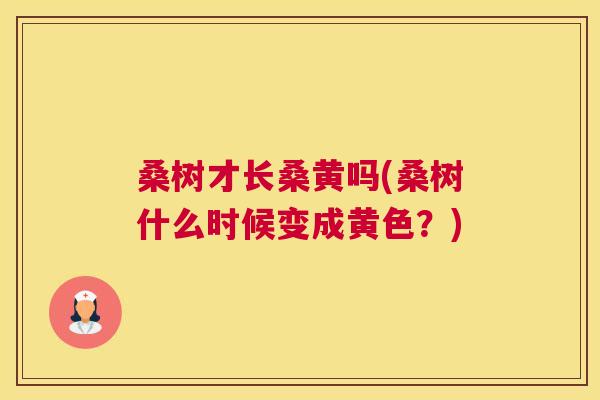 桑树才长桑黄吗(桑树什么时候变成黄色?) 桑树才长桑黄吗(桑树什么时候变成黄色?)