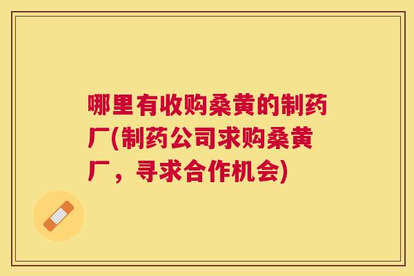 哪里有收购桑黄的制药厂(制药公司求购桑黄厂,寻求合作机会) 哪里有收购桑黄的制药厂(制药公司求购桑黄厂,寻求合作机会)