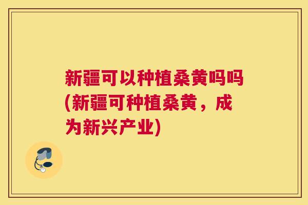 新疆可以种植桑黄吗吗(新疆可种植桑黄,成为新兴产业) 新疆可以种植桑黄吗吗(新疆可种植桑黄,成为新兴产业)