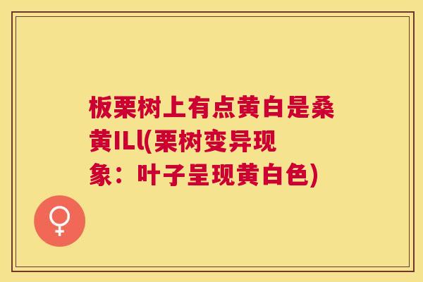 板栗树上有点黄白是桑黄ILl(栗树变异现象:叶子呈现黄白色) 板栗树上有点黄白是桑黄ILl(栗树变异现象:叶子呈现黄白色)