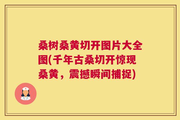 桑树桑黄切开图片大全图(千年古桑切开惊现桑黄,震撼瞬间捕捉) 桑树桑黄切开图片大全图(千年古桑切开惊现桑黄,震撼瞬间捕捉)