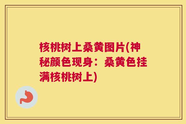 核桃树上桑黄图片(神秘颜色现身:桑黄色挂满核桃树上) 核桃树上桑黄图片(神秘颜色现身:桑黄色挂满核桃树上)