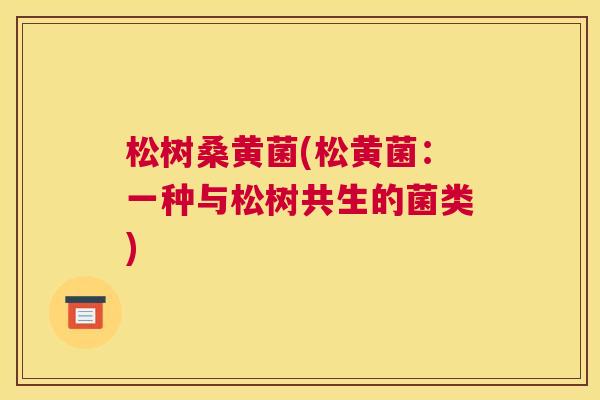 松树桑黄菌(松黄菌:一种与松树共生的菌类) 松树桑黄菌(松黄菌:一种与松树共生的菌类)