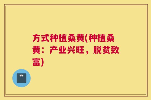 方式种植桑黄(种植桑黄:产业兴旺,脱贫致富) 方式种植桑黄(种植桑黄:产业兴旺,脱贫致富)