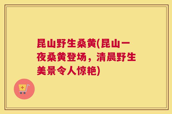 昆山野生桑黄(昆山一夜桑黄登场,清晨野生美景令人惊艳) 昆山野生桑黄(昆山一夜桑黄登场,清晨野生美景令人惊艳)