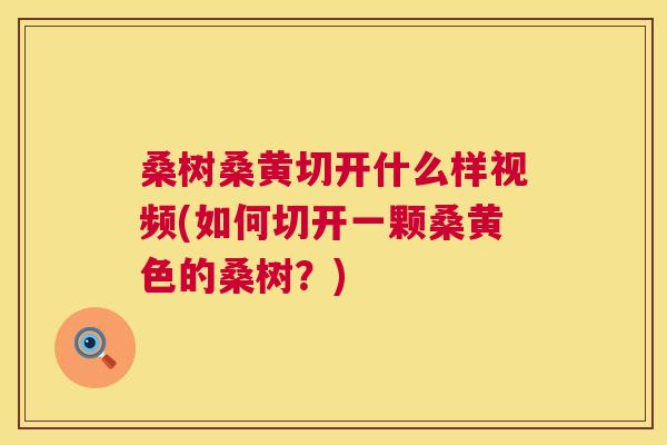 桑树桑黄切开什么样视频(如何切开一颗桑黄色的桑树?) 桑树桑黄切开什么样视频(如何切开一颗桑黄色的桑树?)