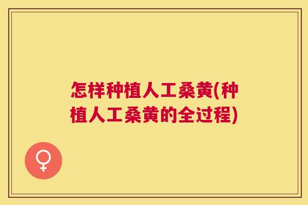 怎样种植人工桑黄(种植人工桑黄的全过程)