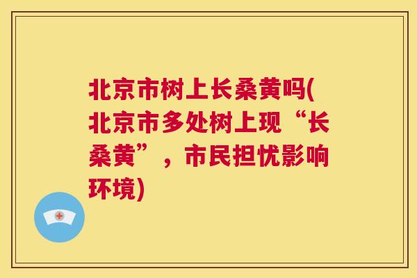 北京市树上长桑黄吗(北京市多处树上现“长桑黄”,市民担忧影响环境) 北京市树上长桑黄吗(北京市多处树上现“长桑黄”,市民担忧影响环境)