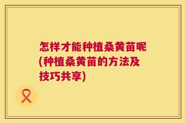 怎样才能种植桑黄苗呢(种植桑黄苗的方法及技巧共享) 怎样才能种植桑黄苗呢(种植桑黄苗的方法及技巧共享)