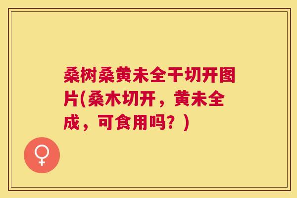 桑树桑黄未全干切开图片(桑木切开,黄未全成,可食用吗?) 桑树桑黄未全干切开图片(桑木切开,黄未全成,可食用吗?)