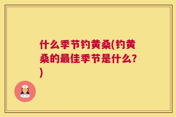 什么季节钓黄桑(钓黄桑的佳季节是什么?) 什么季节钓黄桑(钓黄桑的佳季节是什么?)