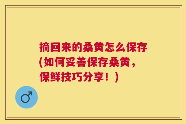 摘回来的桑黄怎么保存(如何妥善保存桑黄,保鲜技巧分享!) 摘回来的桑黄怎么保存(如何妥善保存桑黄,保鲜技巧分享!)