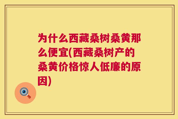 为什么西藏桑树桑黄那么便宜(西藏桑树产的桑黄价格惊人低廉的原因) 为什么西藏桑树桑黄那么便宜(西藏桑树产的桑黄价格惊人低廉的原因)