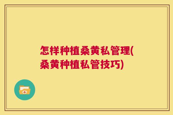 怎样种植桑黄私管理(桑黄种植私管技巧) 怎样种植桑黄私管理(桑黄种植私管技巧)