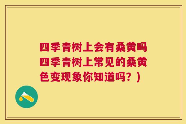四季青树上会有桑黄吗四季青树上常见的桑黄色变现象你知道吗?) 四季青树上会有桑黄吗四季青树上常见的桑黄色变现象你知道吗?)
