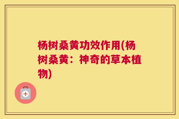 杨树桑黄功效作用(杨树桑黄:神奇的草本植物) 杨树桑黄功效作用(杨树桑黄:神奇的草本植物)