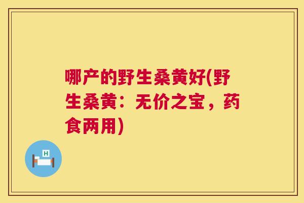 哪产的野生桑黄好(野生桑黄:无价之宝,药食两用) 哪产的野生桑黄好(野生桑黄:无价之宝,药食两用)
