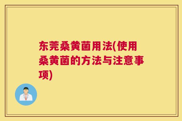 东莞桑黄菌用法(使用桑黄菌的方法与注意事项) 东莞桑黄菌用法(使用桑黄菌的方法与注意事项)