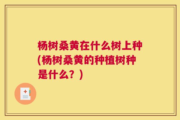 杨树桑黄在什么树上种(杨树桑黄的种植树种是什么?) 杨树桑黄在什么树上种(杨树桑黄的种植树种是什么?)