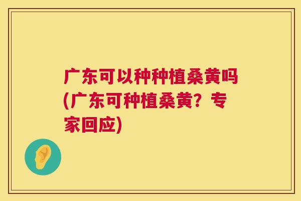广东可以种种植桑黄吗(广东可种植桑黄?专家回应) 广东可以种种植桑黄吗(广东可种植桑黄?专家回应)