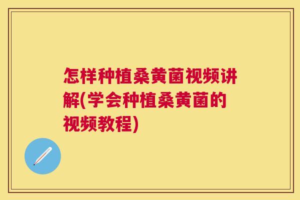 怎样种植桑黄菌视频讲解(学会种植桑黄菌的视频教程) 怎样种植桑黄菌视频讲解(学会种植桑黄菌的视频教程)