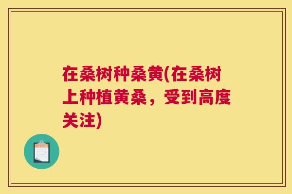 在桑树种桑黄(在桑树上种植黄桑,受到高度关注) 在桑树种桑黄(在桑树上种植黄桑,受到高度关注)