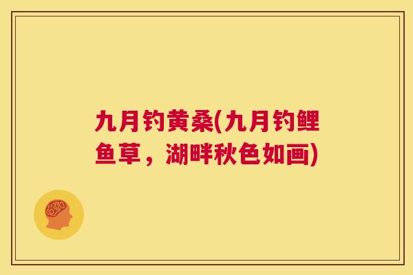 九月钓黄桑(九月钓鲤鱼草,湖畔秋色如画) 九月钓黄桑(九月钓鲤鱼草,湖畔秋色如画)